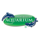 More about aquarium