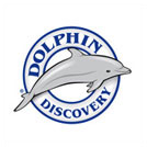 More about dolphin-disc